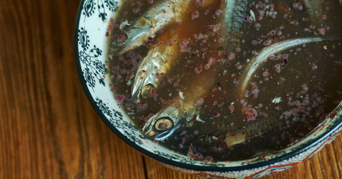 Garum Revival: Saus Ikan Fermentasi Romawi Kuno Yang Kembali