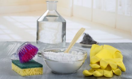 Rahasia Spons Cuci Piring Hilangkan Bau Tak Sedap Di Kulkas