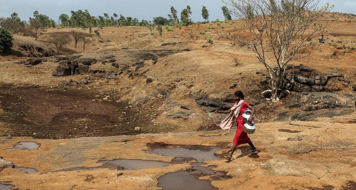 Gelombang Panas Di India Tembus 51 Derajat Celcius