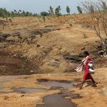 Gelombang Panas Di India Tembus 51 Derajat Celcius