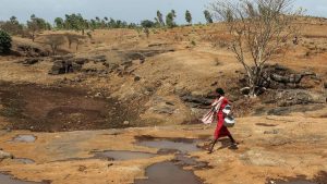 Gelombang Panas Di India Tembus 51 Derajat Celcius