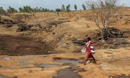 Gelombang Panas Di India Tembus 51 Derajat Celcius