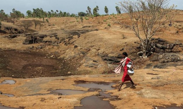 Gelombang Panas Di India Tembus 51 Derajat Celcius