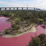 Air Danau Di Australia Mendadak Berubah Warna Jadi Pink Neon