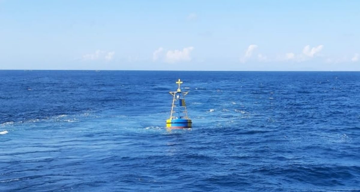 Kisah Ajaib Pria Bertahan Hidup Di Laut Berkat Kepiting Mentah
