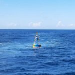 Kisah Ajaib Pria Bertahan Hidup Di Laut Berkat Kepiting Mentah