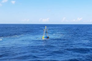 Kisah Ajaib Pria Bertahan Hidup Di Laut Berkat Kepiting Mentah
