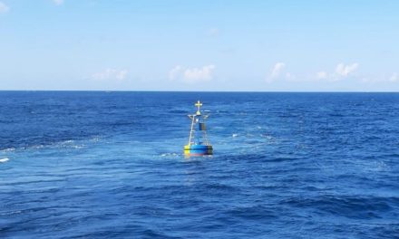 Kisah Ajaib Pria Bertahan Hidup Di Laut Berkat Kepiting Mentah
