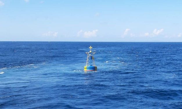 Kisah Ajaib Pria Bertahan Hidup Di Laut Berkat Kepiting Mentah