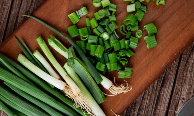 Cara Simpan Daun Bawang Dan Seledri Potong Dalam Freezer